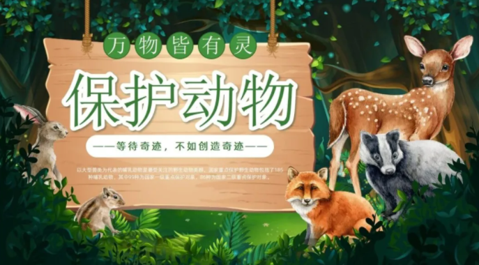 【2130期】保护动物PPT模板，别让它们成为过去式！
